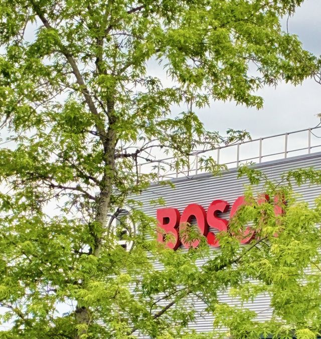 BoschMoulins